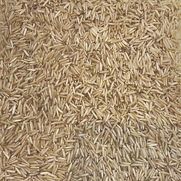 Brown-Basmati-Rice.webp